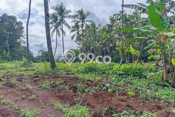 Tanah Dijual Lokasi Pandeglang, Pandeglang Luas 11000m2 Legalitas Aman Tanah Dijual Lokasi Pandeglang, Pandeglang Luas 11000m2 Legalitas Aman