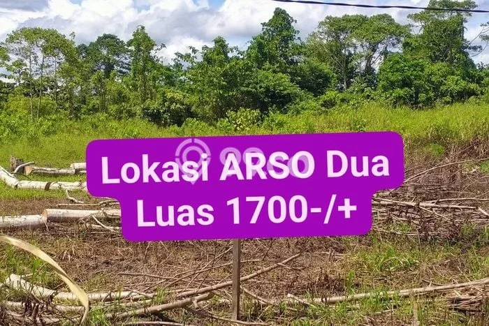 Jual Tanah Lokasi Prima Kawasan Jayapura Selatan, Luas 1799m2m², Dekat Jayapura Selatan, Jayapura, Jayapura Jual Tanah Lokasi Prima Kawasan Jayapura Selatan, Luas 1799m2m², Dekat Jayapura Selatan, Jayapura, Jayapura