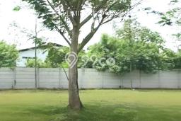 Lahan Investasi Lokasi BSD Tangerang Selatan PPJB Lahan Investasi Lokasi BSD Tangerang Selatan PPJB