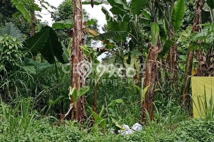 Kavling Tanah Dijual di Bojong Gede, Bogor, Luas 1m2 Area Strategis Kavling Tanah Dijual di Bojong Gede, Bogor, Luas 1m2 Area Strategis