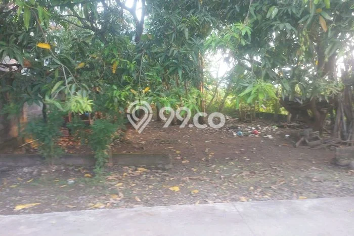 Jarang Ada! Tanah di Pedurungan Punya Luas 495m2 - Jarang Ada! Tanah di Pedurungan Punya Luas 495m2 -