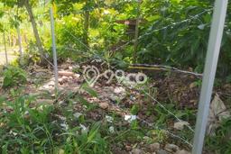 Dijual Tanah di Gunung Pati Semarang Luas 2000m2 SHM Dijual Tanah di Gunung Pati Semarang Luas 2000m2 SHM