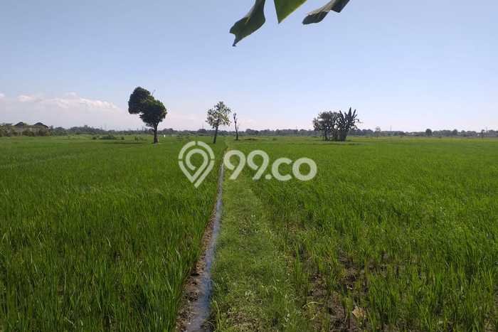 Tanah untuk Dijual di Grati Pasuruan Luas 10200m2 Tanah untuk Dijual di Grati Pasuruan Luas 10200m2