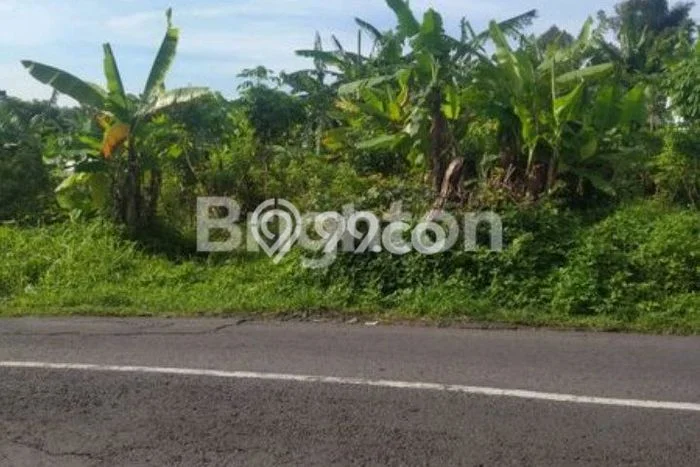 Tanah Dijual Lokasi Strategis di Semarang dengan Luas 1992m2 Tanah Dijual Lokasi Strategis di Semarang dengan Luas 1992m2