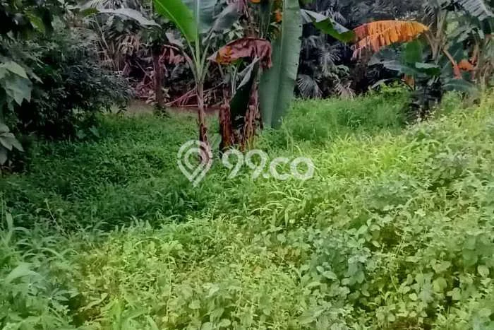 Lahan Kosong Dijual di Jepara, Jepara, Luas 1670m2 Area Strategis Lahan Kosong Dijual di Jepara, Jepara, Luas 1670m2 Area Strategis