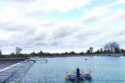 Tanah Kavling untuk Dijual di Muntok Bangka Barat 300000m2 Tanah Kavling untuk Dijual di Muntok Bangka Barat 300000m2
