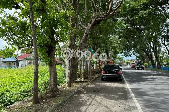 Jarang Ada! Tanah di Kepanjen Punya Luas 7500m2 SHM Jarang Ada! Tanah di Kepanjen Punya Luas 7500m2 SHM