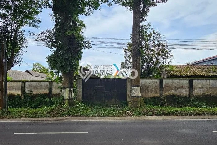 Untuk Dijual Tanah di Wajak Malang Luas 4640m2 SHM Untuk Dijual Tanah di Wajak Malang Luas 4640m2 SHM