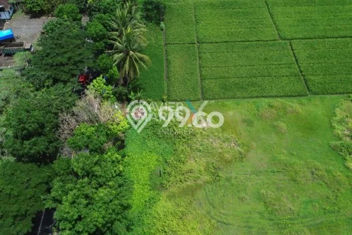 Jarang Ada! Tanah di Kepanjen Punya Luas 7500m2 SHM Jarang Ada! Tanah di Kepanjen Punya Luas 7500m2 SHM