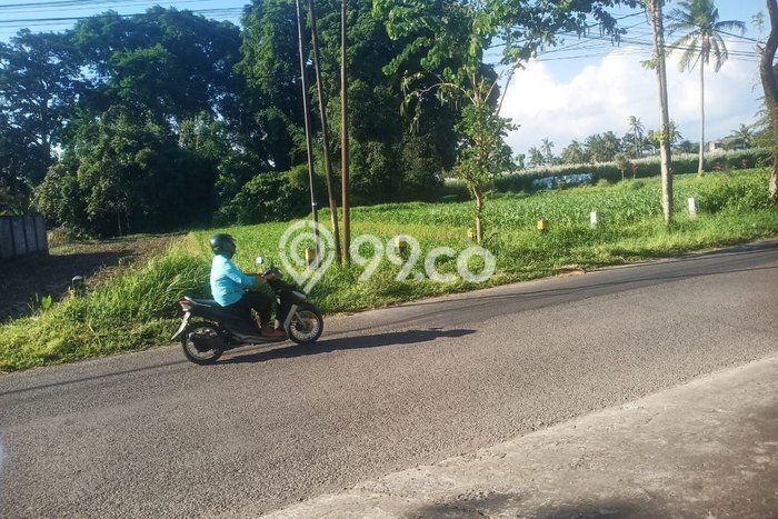 Kavling Tanah Dijual di Bululawang Malang Spesifikasi 512m2 Kavling Tanah Dijual di Bululawang Malang Spesifikasi 512m2