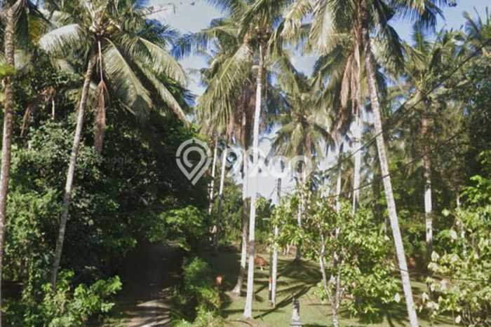 Tanah Dijual Area Strategis di Mambang Tabanan 450m2 Tanah Dijual Area Strategis di Mambang Tabanan 450m2