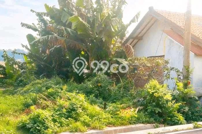 Kavling Tanah di Semarang Barat Dijual Luas 121m2 Legalitas SHM Kavling Tanah di Semarang Barat Dijual Luas 121m2 Legalitas SHM