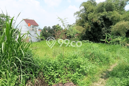 Tanah Dijual Lokasi Mijen, Semarang Luas 600m2 Legalitas Aman Tanah Dijual Lokasi Mijen, Semarang Luas 600m2 Legalitas Aman
