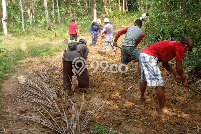 Tanah Strategis Dijual di Pandeglang Pandeglang 1e+06m2 Tanah Strategis Dijual di Pandeglang Pandeglang 1e+06m2