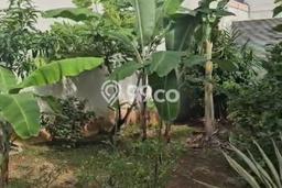 Tanah Dijual di Jakarta Timur Seluas 240m2 Strategis Tanah Dijual di Jakarta Timur Seluas 240m2 Strategis