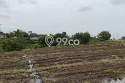 Lahan Dijual Lokasi Pacet, Mojokerto dengan Luas Tanah 128000m2 dan Status SHM Lahan Dijual Lokasi Pacet, Mojokerto dengan Luas Tanah 128000m2 dan Status SHM