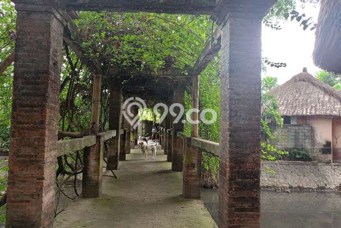 Disewakan Vila Premium Kawasan Denpasar Selatan, Luas 0m2m², Dekat Mudah Denpasar Selatan, Denpasar, Denpasar Disewakan Vila Premium Kawasan Denpasar Selatan, Luas 0m2m², Dekat Mudah Denpasar Selatan, Denpasar, Denpasar