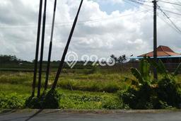 Lahan Disewakan di Mengwi, Badung, Luas 300m2 SHM Lahan Disewakan di Mengwi, Badung, Luas 300m2 SHM