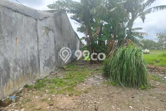 Rumah Minimalis Dijual di Babelan 2 Kamar dengan LT 75m2 Rumah Minimalis Dijual di Babelan 2 Kamar dengan LT 75m2