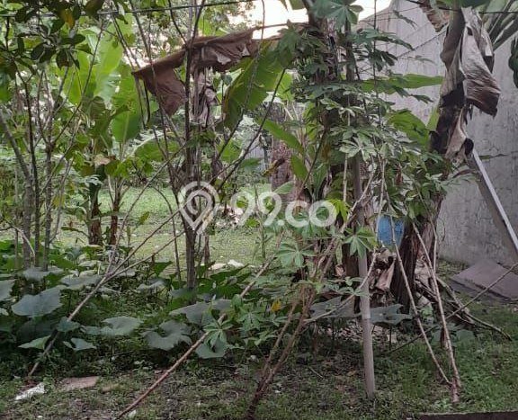 Kavling Tanah Dijual di Rancasari, Bandung, Luas 261m2 Area Strategis Kavling Tanah Dijual di Rancasari, Bandung, Luas 261m2 Area Strategis