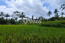 Tanah Lokasi Strategis Kawasan Gianyar, Luas 1300m2m², Lingkungan Asri, Akses Gianyar, Gianyar, Gianyar Tanah Lokasi Strategis Kawasan Gianyar, Luas 1300m2m², Lingkungan Asri, Akses Gianyar, Gianyar, Gianyar