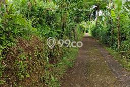 Tanah Komersial Dijual di Gianyar Gianyar 2800m2 Tanah Komersial Dijual di Gianyar Gianyar 2800m2