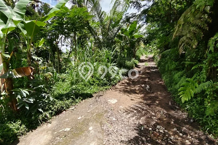 Tanah Kosong Dijual di Gianyar dengan Area 25m2 Tanah Kosong Dijual di Gianyar dengan Area 25m2