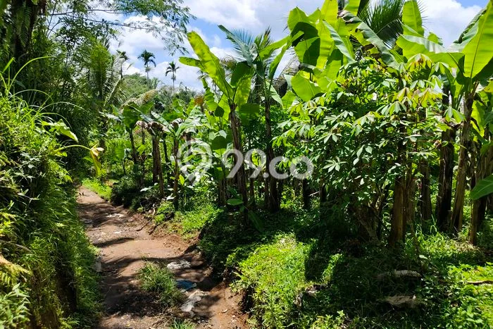 Tanah Kosong Dijual di Gianyar dengan Area 25m2 Tanah Kosong Dijual di Gianyar dengan Area 25m2