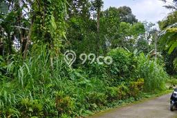 Kavling Tanah di Gianyar Dijual Luas 2000m2 Legalitas SHM Kavling Tanah di Gianyar Dijual Luas 2000m2 Legalitas SHM