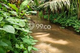 Tanah Dijual Lokasi Ubud Gianyar SHM Tanah Dijual Lokasi Ubud Gianyar SHM