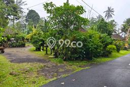Kavling Tanah Dijual di Gianyar Gianyar Spesifikasi 1500m2 Kavling Tanah Dijual di Gianyar Gianyar Spesifikasi 1500m2