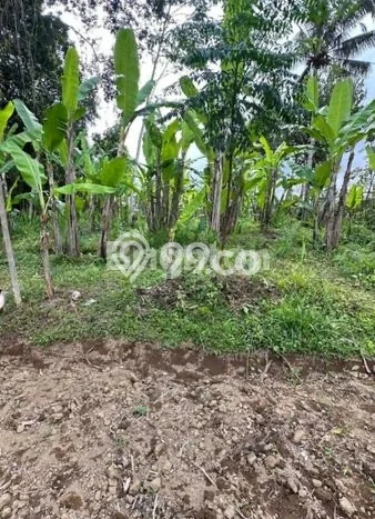 Dijual Tanah di Payangan Gianyar Luas 2200m2 SHM Dijual Tanah di Payangan Gianyar Luas 2200m2 SHM