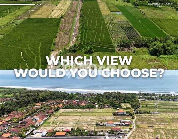 Tanah Kavling Dijual di Tabanan dengan Spesifikasi 1975m2 Tanah Kavling Dijual di Tabanan dengan Spesifikasi 1975m2