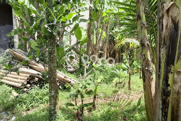 Lahan untuk Disewa di Badung Luas 210m2 Lahan untuk Disewa di Badung Luas 210m2