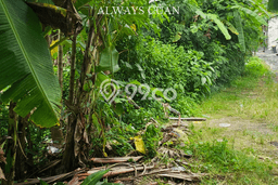 Tanah Kavling Dijual di Badung dengan Spesifikasi 865m2 Tanah Kavling Dijual di Badung dengan Spesifikasi 865m2
