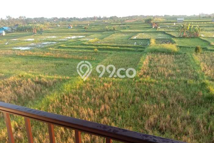 Rumah Luas Asri 3 KT Siap Huni di Cepaka Tabanan Rumah Luas Asri 3 KT Siap Huni di Cepaka Tabanan