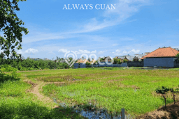 Tanah di Mengwi, Badung Luas 4000m2 Dijual Segera Tanah di Mengwi, Badung Luas 4000m2 Dijual Segera