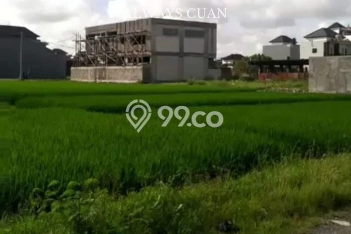 Sangat Dicari! Kavling Tanah Disewakan di Denpasar Barat, Denpasar Sangat Dicari! Kavling Tanah Disewakan di Denpasar Barat, Denpasar