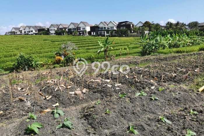 Tanah Kavling Dijual di Badung dengan Spesifikasi 600m2 Tanah Kavling Dijual di Badung dengan Spesifikasi 600m2