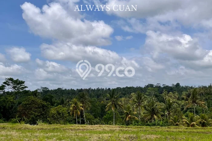 Untuk Dijual Tanah 2620m2 di Sebatu, Gianyar Untuk Dijual Tanah 2620m2 di Sebatu, Gianyar