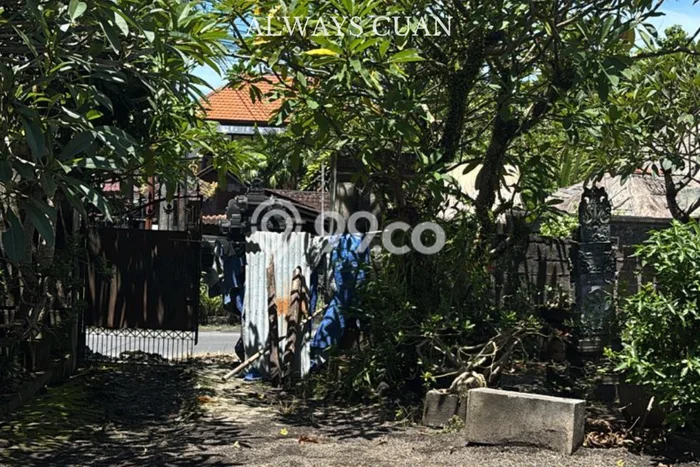 Tanah Disewakan Lokasi Kedungu Tabanan Luas 200m2 Tanah Disewakan Lokasi Kedungu Tabanan Luas 200m2
