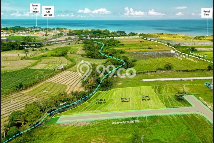 Dijual Tanah Lokasi Belalang, Tabanan Seluas 100m2 Dijual Tanah Lokasi Belalang, Tabanan Seluas 100m2