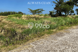 Dijual Tanah Lokasi Belalang, Tabanan Seluas 100m2 Dijual Tanah Lokasi Belalang, Tabanan Seluas 100m2