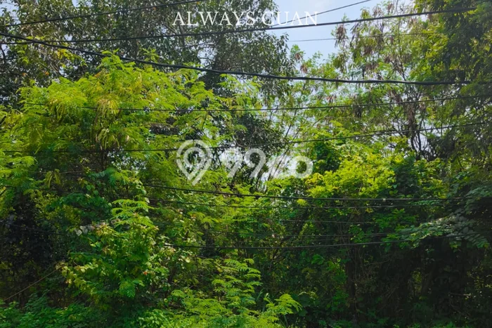 Kavling Tanah untuk Disewa di Nusa Dua Lahan Luas 400m2 Kavling Tanah untuk Disewa di Nusa Dua Lahan Luas 400m2