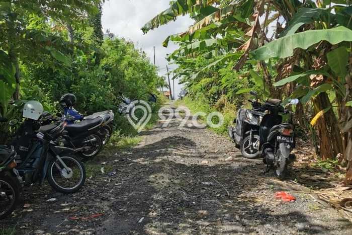 Tanah Kavling Dijual di Badung dengan Spesifikasi 600m2 Tanah Kavling Dijual di Badung dengan Spesifikasi 600m2
