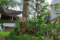 Tanah Investasi Dijual di Badung Punya Luas 300m2 Tanah Investasi Dijual di Badung Punya Luas 300m2