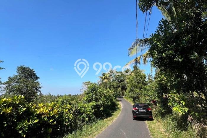 Tanah Dijual Lokasi Tabanan, Tabanan dengan Luas Tanah 11220m2 dan Status SHM Tanah Dijual Lokasi Tabanan, Tabanan dengan Luas Tanah 11220m2 dan Status SHM