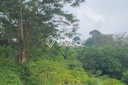 Tanah Dijual Lokasi Megamendung, Bogor dengan Luas Tanah 370000m2 dan Status SHM Tanah Dijual Lokasi Megamendung, Bogor dengan Luas Tanah 370000m2 dan Status SHM