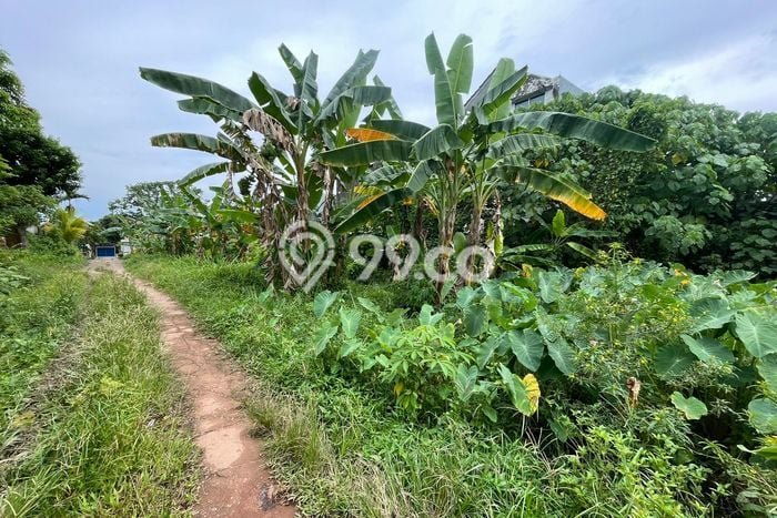 Lahan Kosong Dijual di Plaju, Palembang, Luas 84m2 Area Strategis Lahan Kosong Dijual di Plaju, Palembang, Luas 84m2 Area Strategis