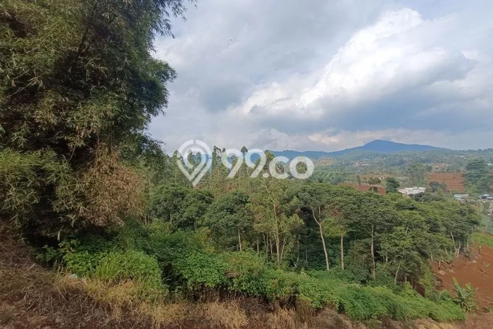 Lahan Strategis di Cimenyan Dijual dengan Luas 5000m2 Lahan Strategis di Cimenyan Dijual dengan Luas 5000m2